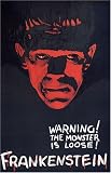 Frankenstein Warning The monster is Loose Vintage Horror Movie Poster