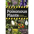 Poisonous Plants: A Guide for Parents & Childcare Providers
