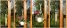 Meripac Hang-Up Hook