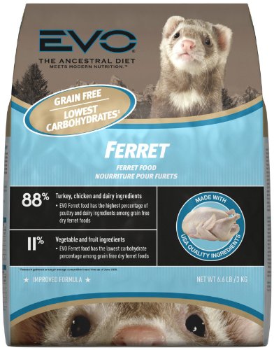 ferret food