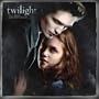 Twilight 2010 Wall Calendar