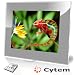 Cytem VX15-pro silber, Digitaler Bilderrahmen 38,1 cm (15 Zoll) (1024x768 / 4:3), Echte Zufallswiedergabe, Ordnerbasierte Diaschau, Diaschau Fortsetzen nach Standby / hochwertiger Acrylrahmen