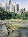Outcrop of Manhattan Gneiss Which Forms Bedrock for Skyscrapers, Central Park, New York City, USA Photographic Poster Print by Tony Waltham, 12x16