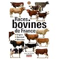 Races bovines de France : Origine, standard, s�lection