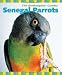 Senegal Parrots (The Birdkeepers' Guides)