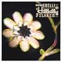 Hillbilly Pilgrim