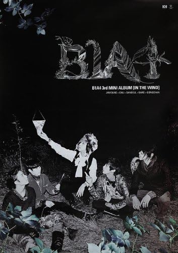 B1A4 In the Wind Official Poster