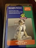 Pet Safety Harness