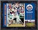 Carlos Beltran New York Mets 8x10 Color Plaque