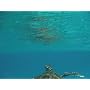 Fujifilm FINEPIX XP30 Outdoor-Digitalkamera (14 Me&hellip von Fujifilm