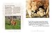 The Inner World of Farm Animals: Their Amazing Social, Emotional, and Intellectual Capacities