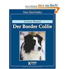 Der Border Collie