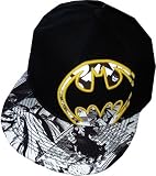 Batman The Dark Knight Logo Fitted Flat-ball Baseball Hat