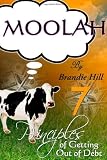 Moolah: 7 Principles of Getting Out of Debt