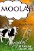 Moolah: 7 Principles of Getting Out of Debt