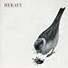 Hekate-Mithras Garden