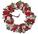 The Red /White Hawaii Elastic Headband