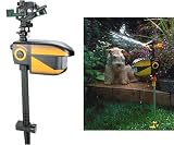 Scarecrow Motion Sprinkler