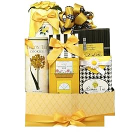 Too Good Gourmet Everyday Summer in the City Medium Gift Basket