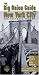 Books : The Big Onion Guide to New York City: Ten Historic Tours