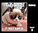Grumpy Cat Boxed Calendar (2015)