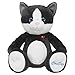 CloudPets 12in Talking Kitty - The Adorable, Huggable Pet to Keep in Touch Through the Cloud, Recordable Stuffed Animal