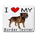 I Love My Border Terrier