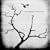 The Airborne Toxic Event
