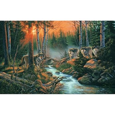 Shadow of the Forest 1000pc Jigsaw Puzzle by Derk Hansen