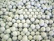 2 dozen refurbished Titleist PRO V1 & PRO V1x Golf Balls