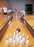 Border Patrol Bowling/Floor Hockey Rink System - Outdoor Single Panels