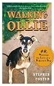 Walking Ollie: Or, Winning the Love of a Difficult Dog