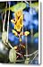 A Tropical Vine Hangs Beautiful Flowers Canvas Print / Canvas Art - Artist Taylor S. Kennedy