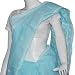 Green Sari Cotton Chikan Embroidered (chsari114)
