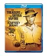 Treasure of the Sierra Madre [Blu-ray]