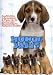 Amazon price tracker, Amazon price history charts, Hundebabys