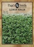 Lemon Balm