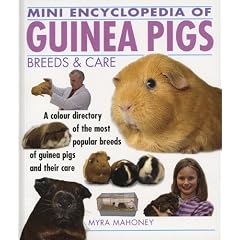 Mini Encyclopedia of Guinea Pigs