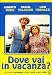 Dove Vai In Vacanza?