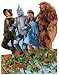 Poppy Field of Oz Blank Die Cut Photographic Card
