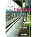 New Museums and the Making of Culture