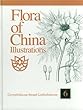Flora of China  : Illustrations. 6  : Caryophyllaceae through Lardizabalaceae