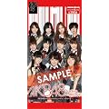 AKB48オフィシャルトレーディングカード 「AKB48 トレーディングコレクション」１パック