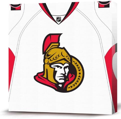 NHL Ottawa Senators Canvas Replica Primary Jersey, White