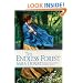 The Endless Forest: A Novel
