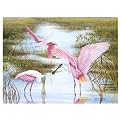 Wings of Rose by Christi Mathews- 33x24"