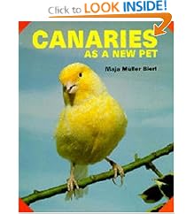 Canaries As a New Pet (As a New Pet Series)