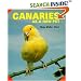 Canaries As a New Pet (As a New Pet Series)