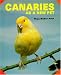 Canaries as a New Pet (As a New Pet Series)