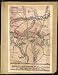 Battle of Five Forks 31st March and April 1st 1865. Copy of official plan by Col. W. H. Paine U.S. Engrs. (Civil War Map Reprint measured in inches 28 x 36)
